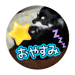karin_20250407213939