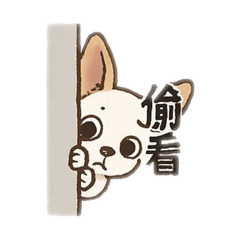 我是Q版小乖