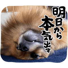 Hikaru_20250408091351