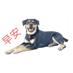 鐵妞三寶