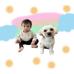 Koba_20250407175722