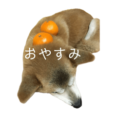 HaRu_20250407224513