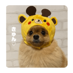Hikari_20250407224106
