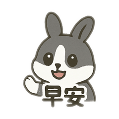 小兔子～