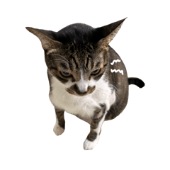 K.J.S_20250405131150