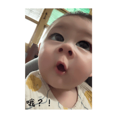 晴 晴 寶 寶
