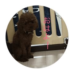 animal stanp by Riho