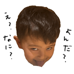 pi_20250408102241