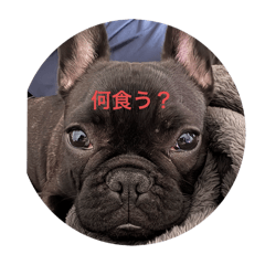 yuki_20250408104100