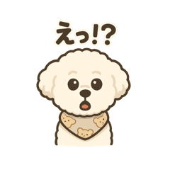 moka_20250407211410