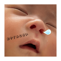 shin_20250407211445