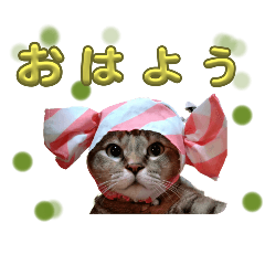 natsuki_20250407231259