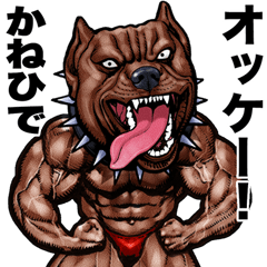 Kanehide dedicated Muscle macho animal