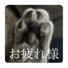 filo_20250407223014