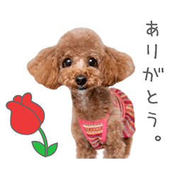 StampNo:5127