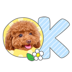 StampNo:5134