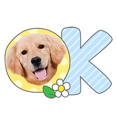 StampNo:5137