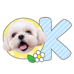 StampNo:5139