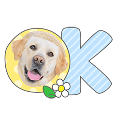 StampNo:5143