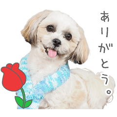 StampNo:5154