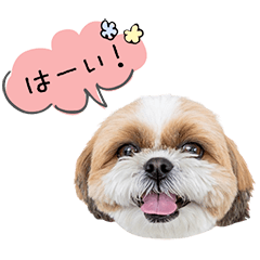 StampNo:5149
