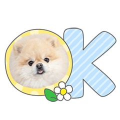 StampNo:5147