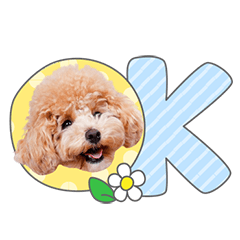 StampNo:5138