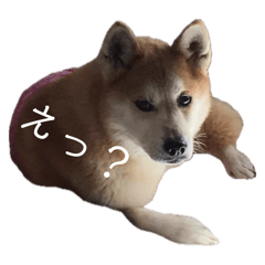 HaRu_20250408000050