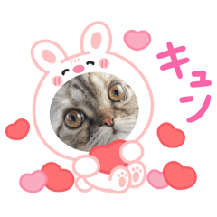 pon_20250408001901