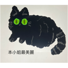 手繪黑貓4·.·