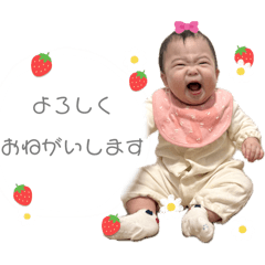 coco_20250407134150