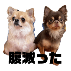 GON_20250408031300