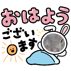 yui_20250408134922