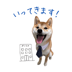 Sato_20250406121437