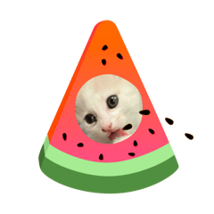 小哆比