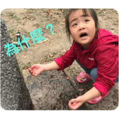 程猜婕的忒圖