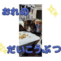 mugi_20250408100351
