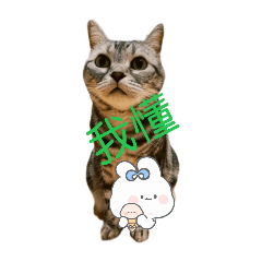 邊邊Part1