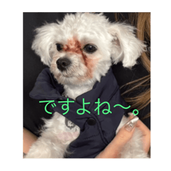 Erika_20250407164102
