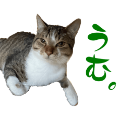 Mugi_20250408114514