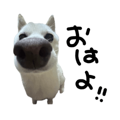 mii_20250407182211
