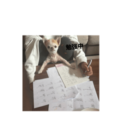 RU_20250408152509