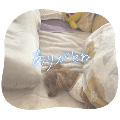 yuka_20250408160410