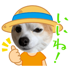 mii_20250408154930