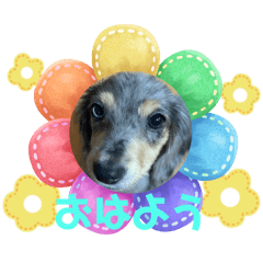 mochiko.m
