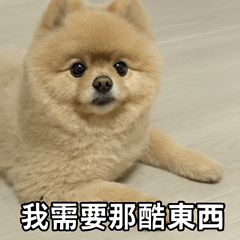 麻吉莊日常1