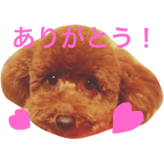 Hana's  Stamp
