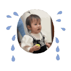 葵動動