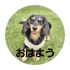 ANAMI_20250408000010