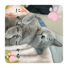 asa_20250408164338